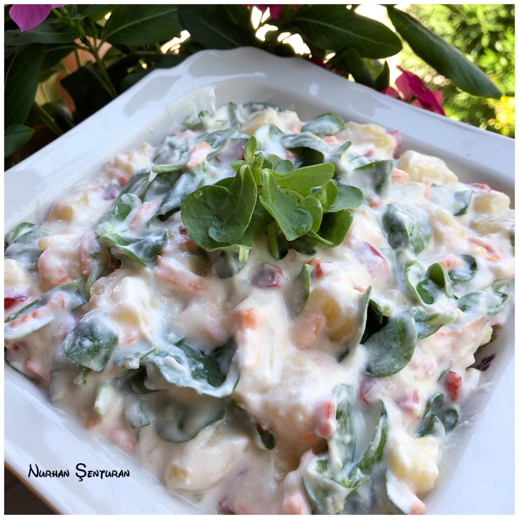 semiz salad